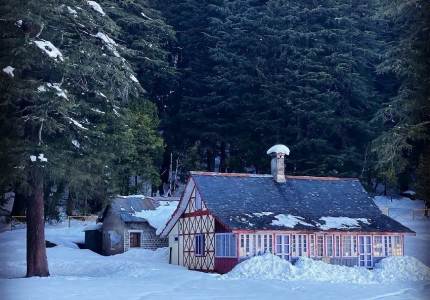 Twin Hill Escape – Dalhousie & Dharamshala Scenic Tour