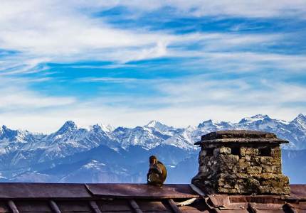 9-Day Tour of Shimla, Manali, Dharamshala & Dalhousie from Chandigarh