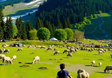9-Day Kashmir Panorama: Srinagar, Pahalgam & Gulmarg Bliss
